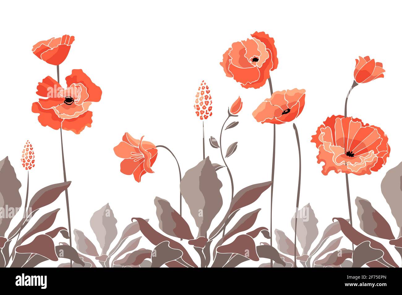 California poppy flowers, Eschscholtzia. Cute pattern with coral color flowers, Chocolate color leaves, and stems. Floral elements isolated. Stock Photo