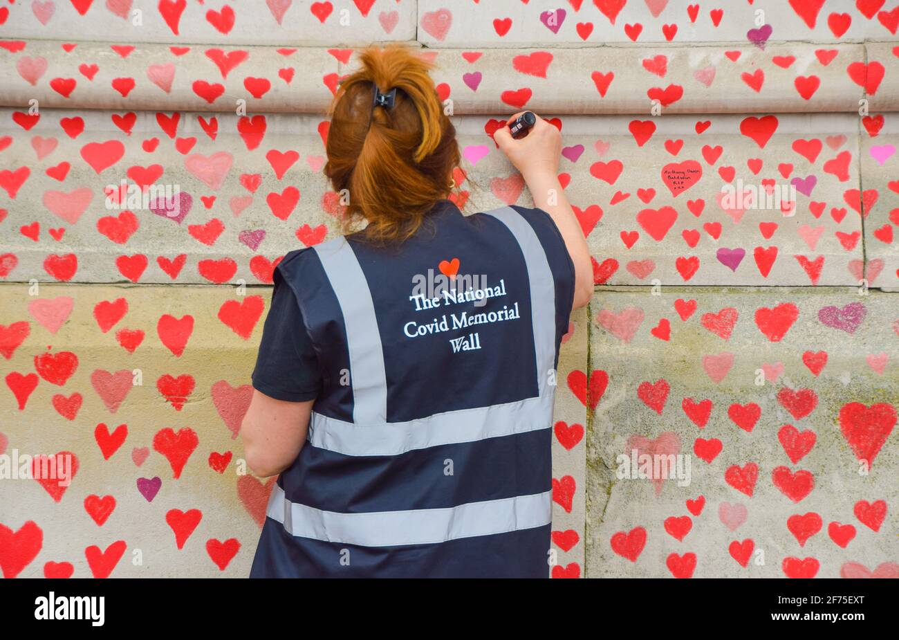 London, United Kingdom. 31st March 2021. A volunteer paints red hearts on the National Covid Memorial Wall. Nearly 150,000 hearts will be painted by volunteers, one for each Covid-19 victim in the UK to date, on the wall outside St Thomas' Hospital on the south bank of the Thames opposite Houses Of Parliament. Stock Photo
