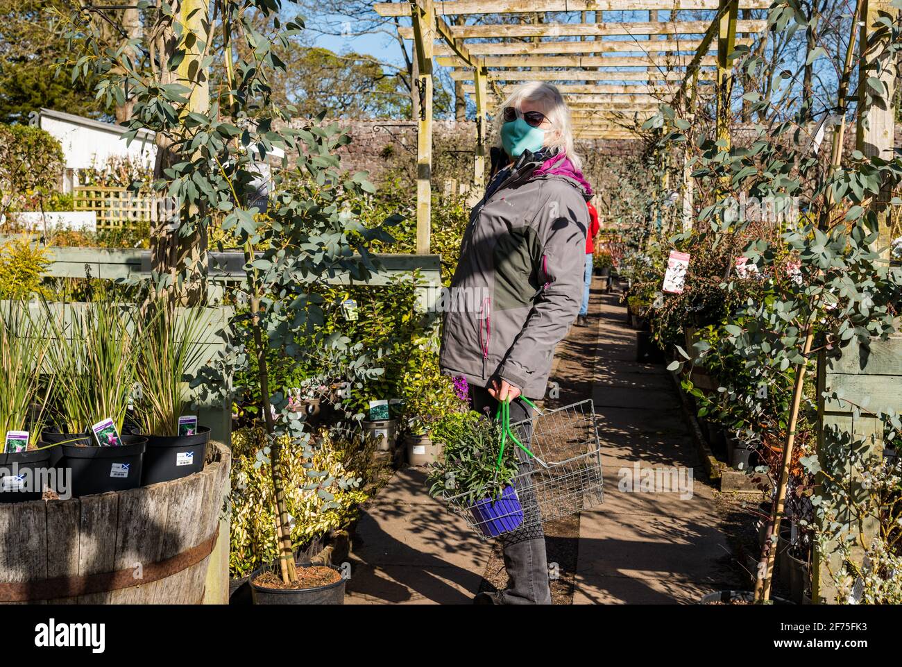 Smeaton garden centre hires stock photography and images Alamy