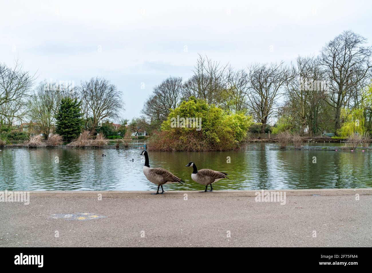 Boating lake at Alexandra Palace in London, UK Stock Photo