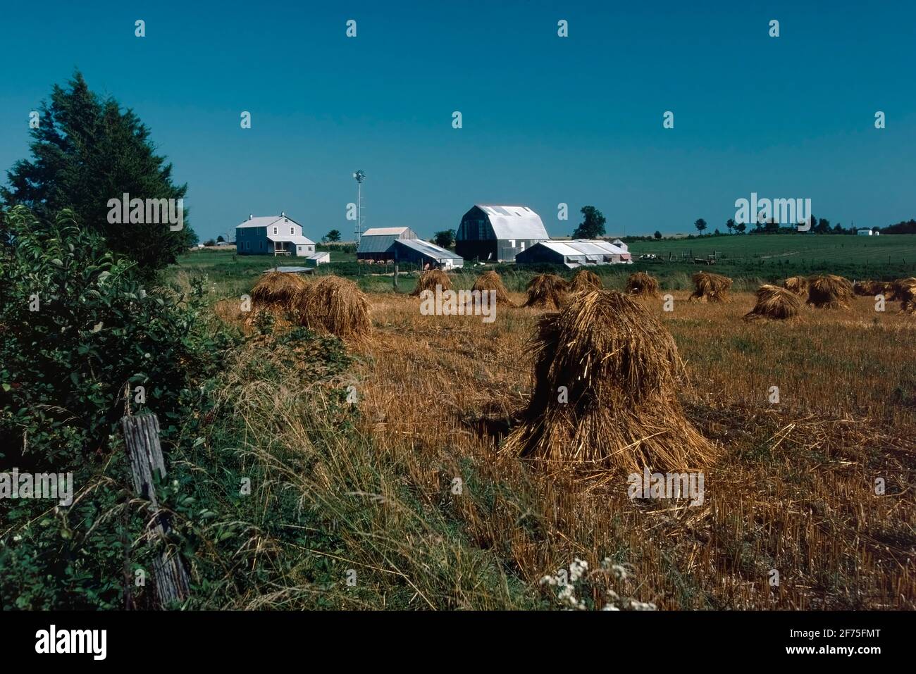 Amish farms in rural pennsylvania hires stock photography and images