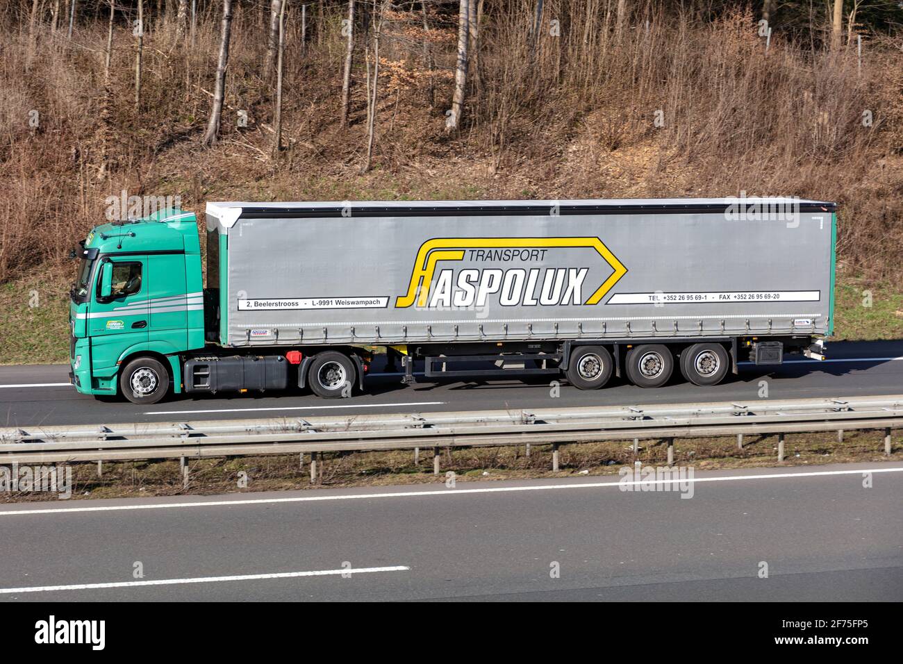 Haspolux Mercedes-Benz Actros truck with curtainside trailer on motorway. Stock Photo