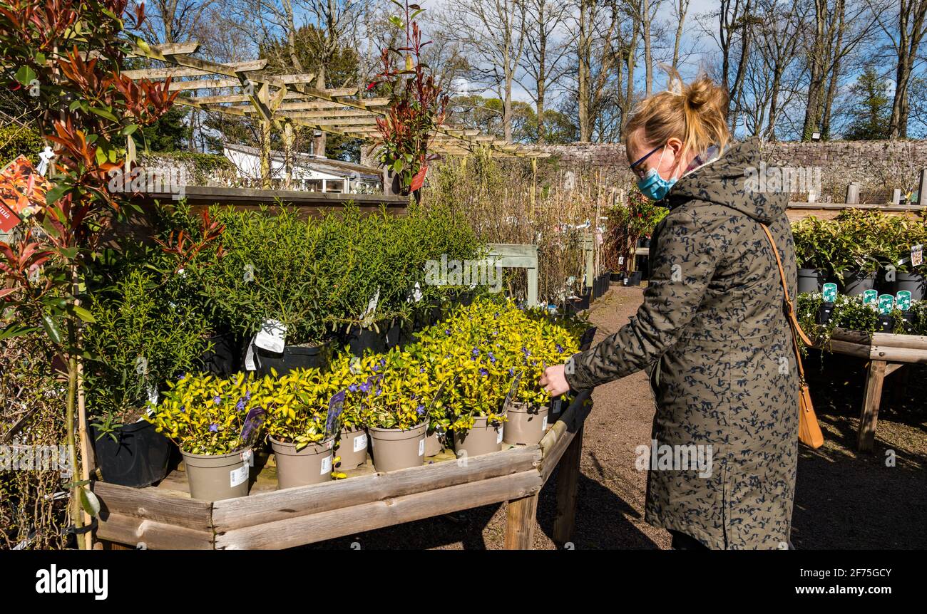 Smeaton garden centre hires stock photography and images Alamy