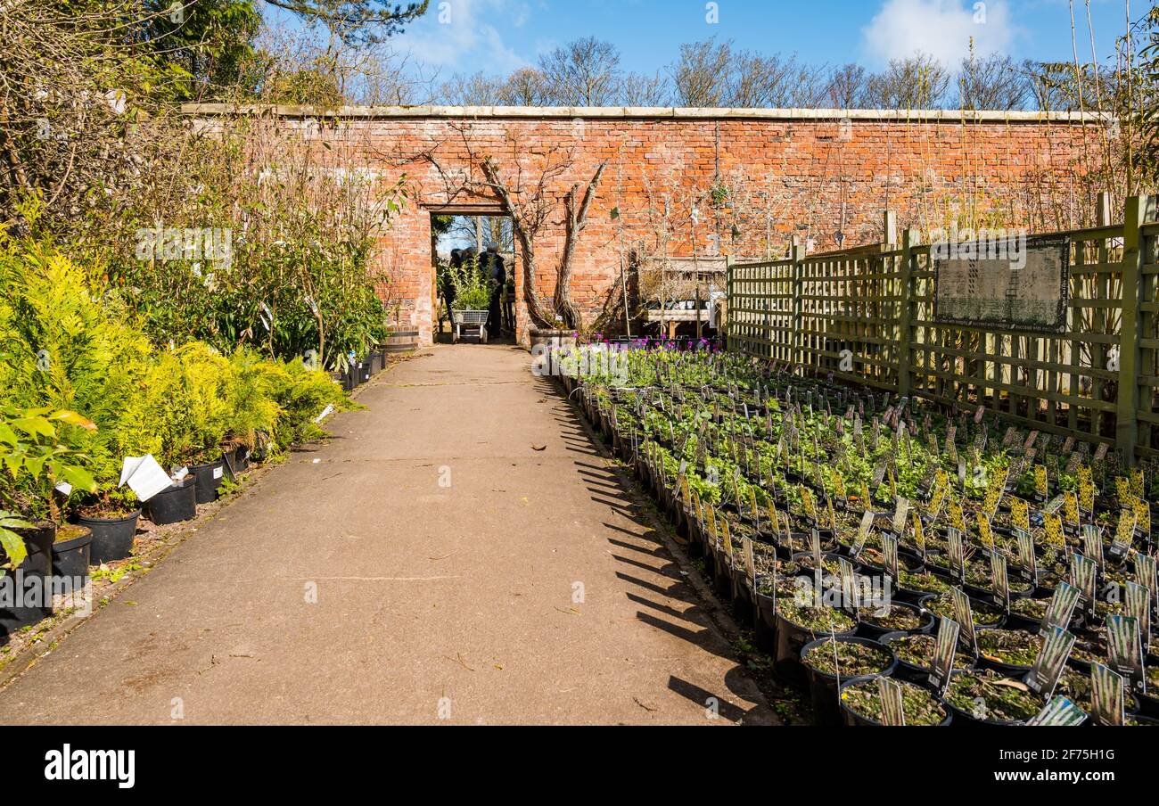 Smeaton nursery hires stock photography and images Alamy