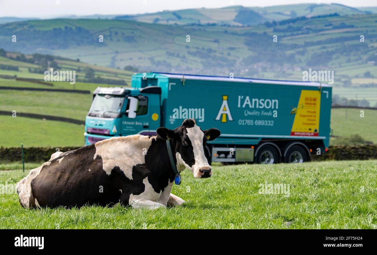 Livestock Transport Uk High Resolution Stock Photography and Images Alamy