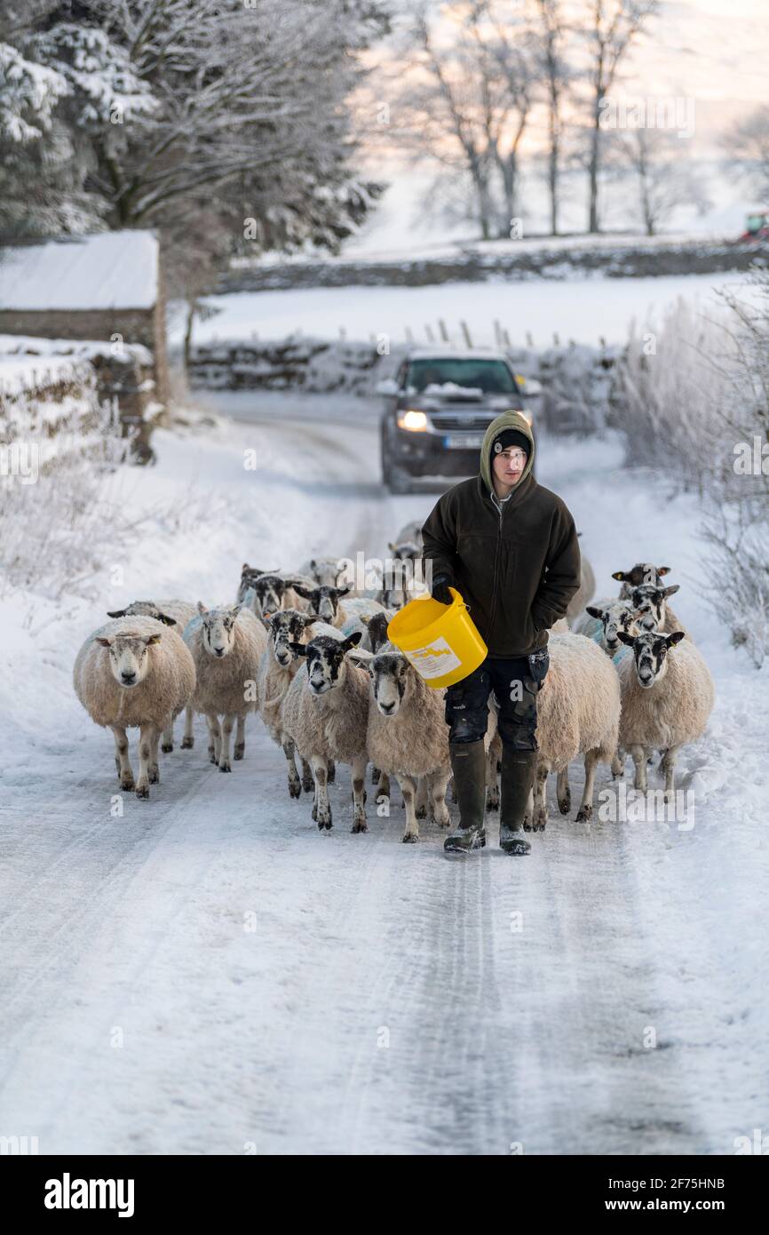 Man farmer farming lead hires stock photography and images Alamy