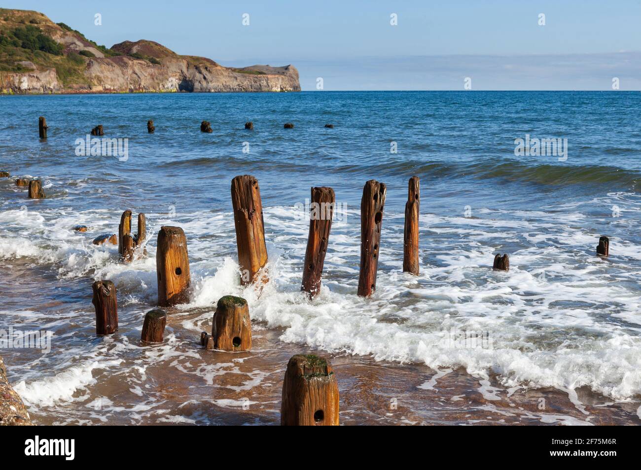 Wooden posts of old sea defences on the beach at Sandsend on the North Yorkshire coast Stock Photo