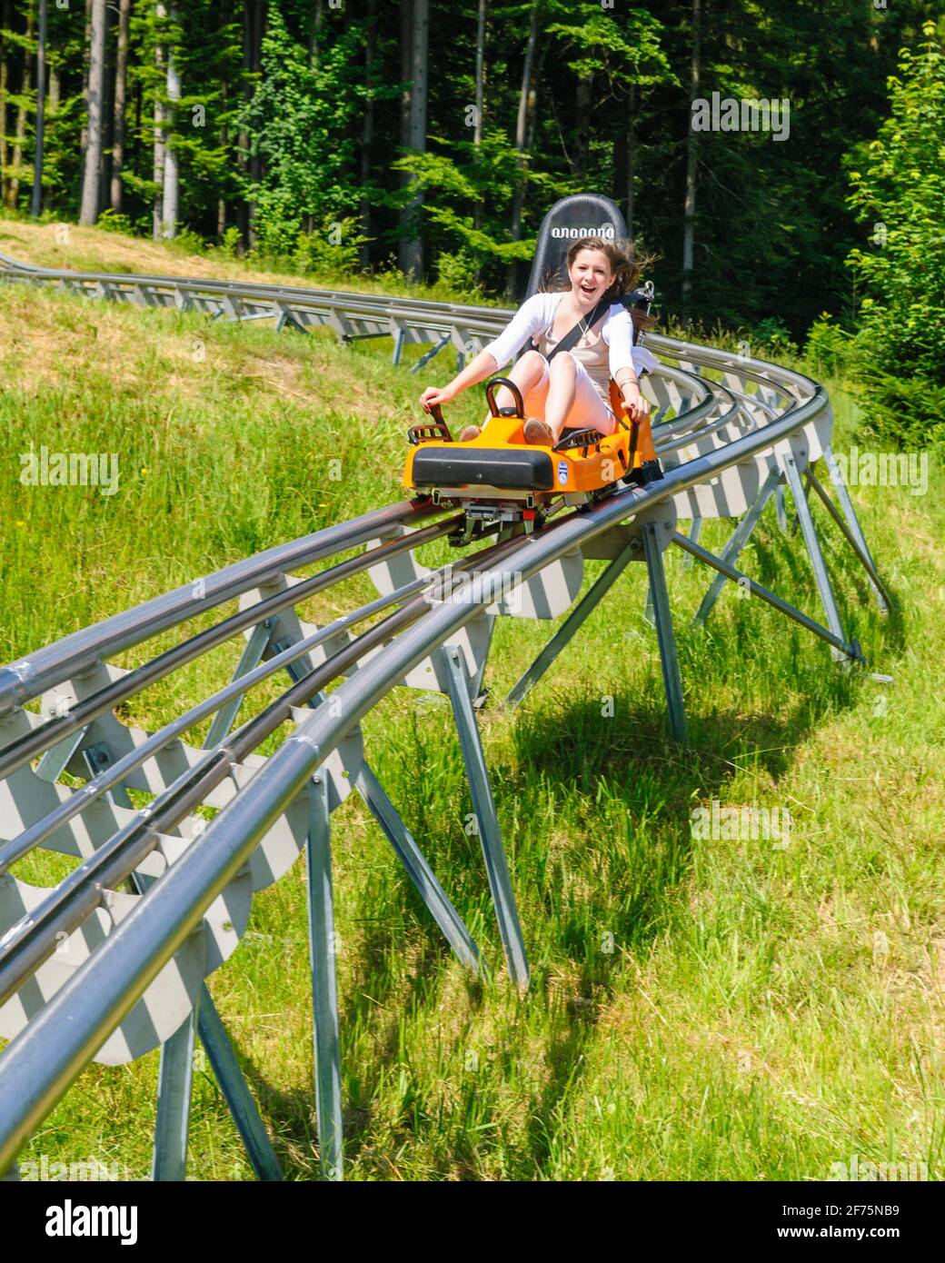 Teenager on summer toboggan run Stock Photo Alamy
