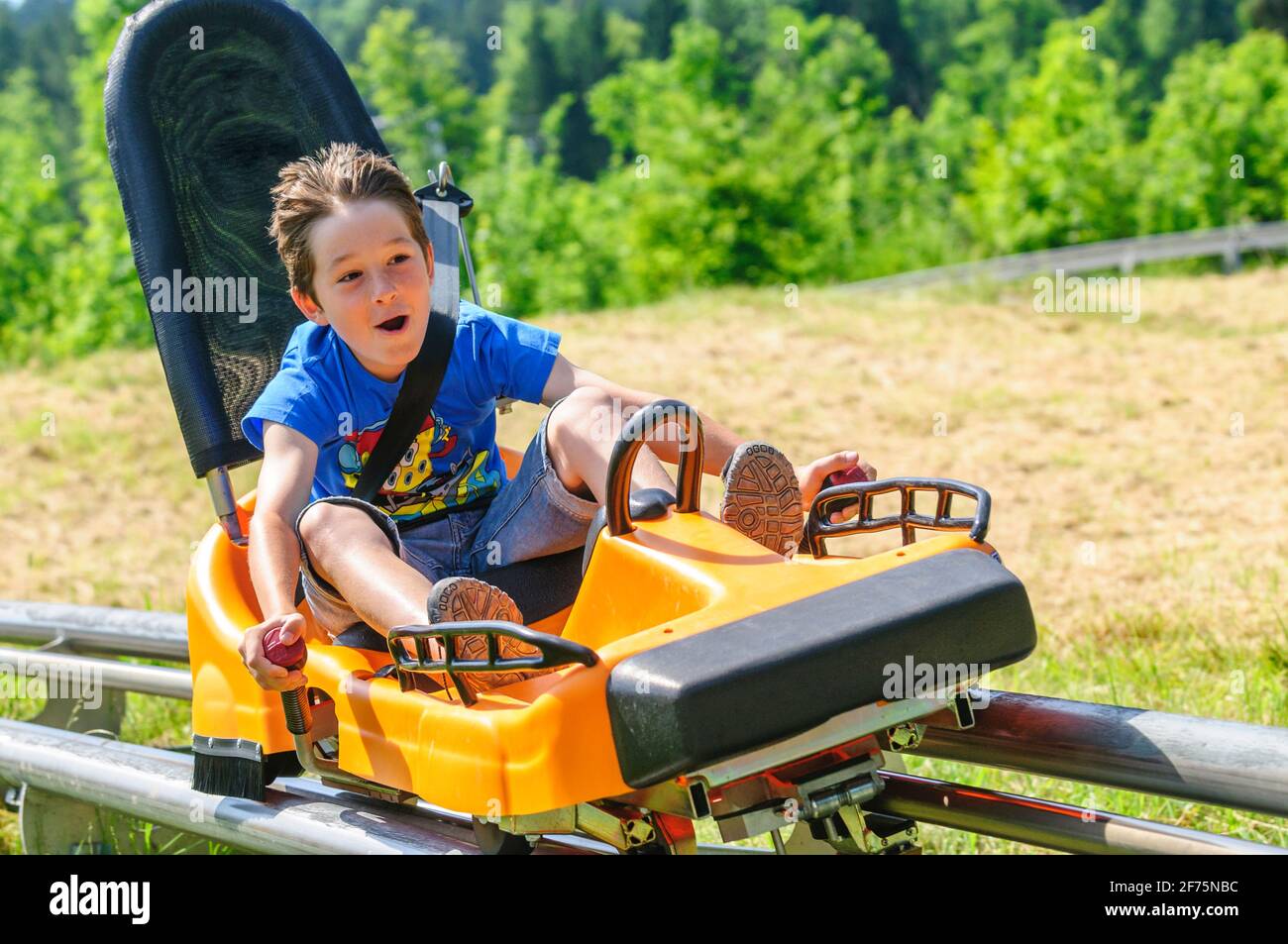Boy on summer toboggan run Stock Photo Alamy