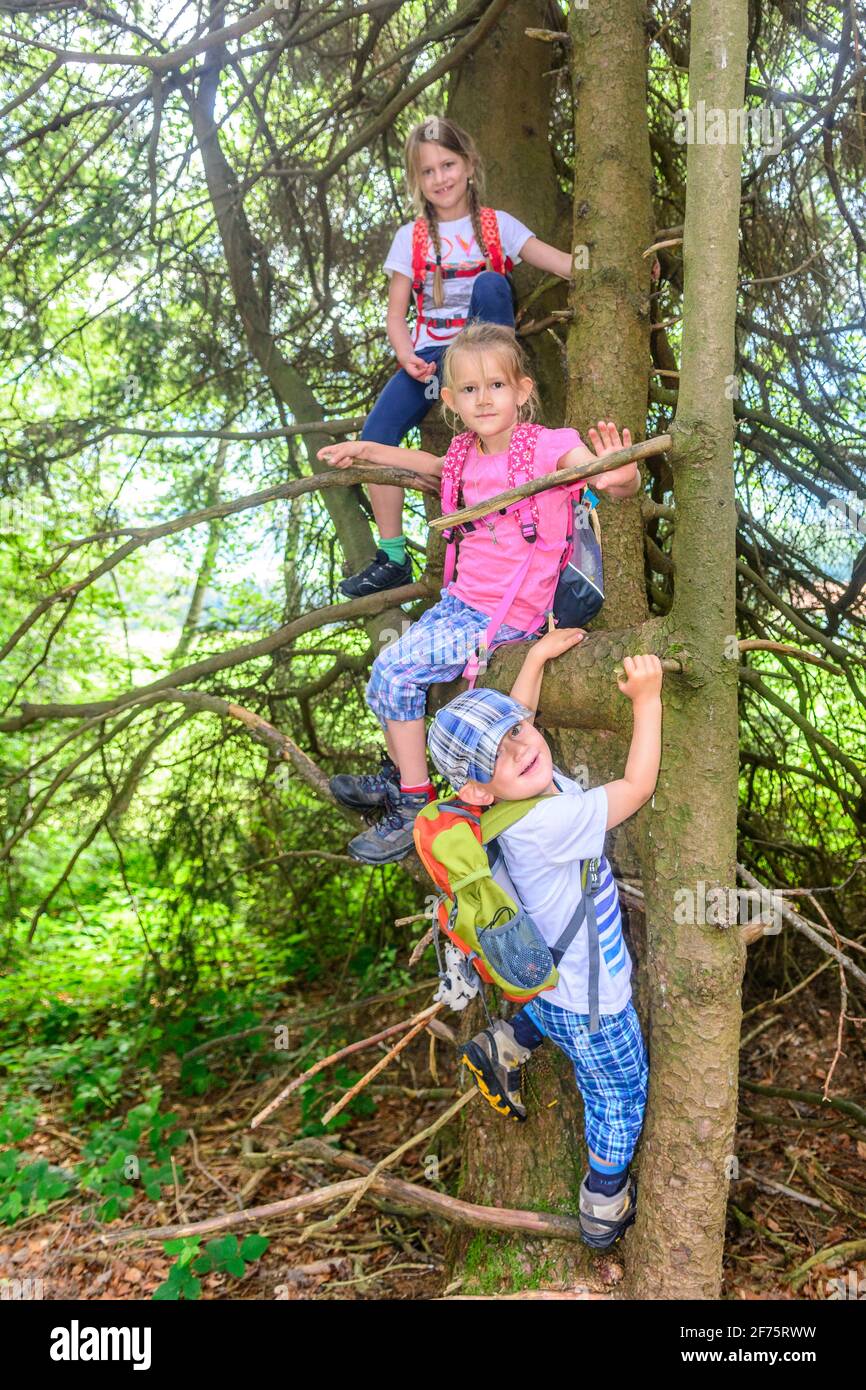 Children posing for camera on tree Stock Photo