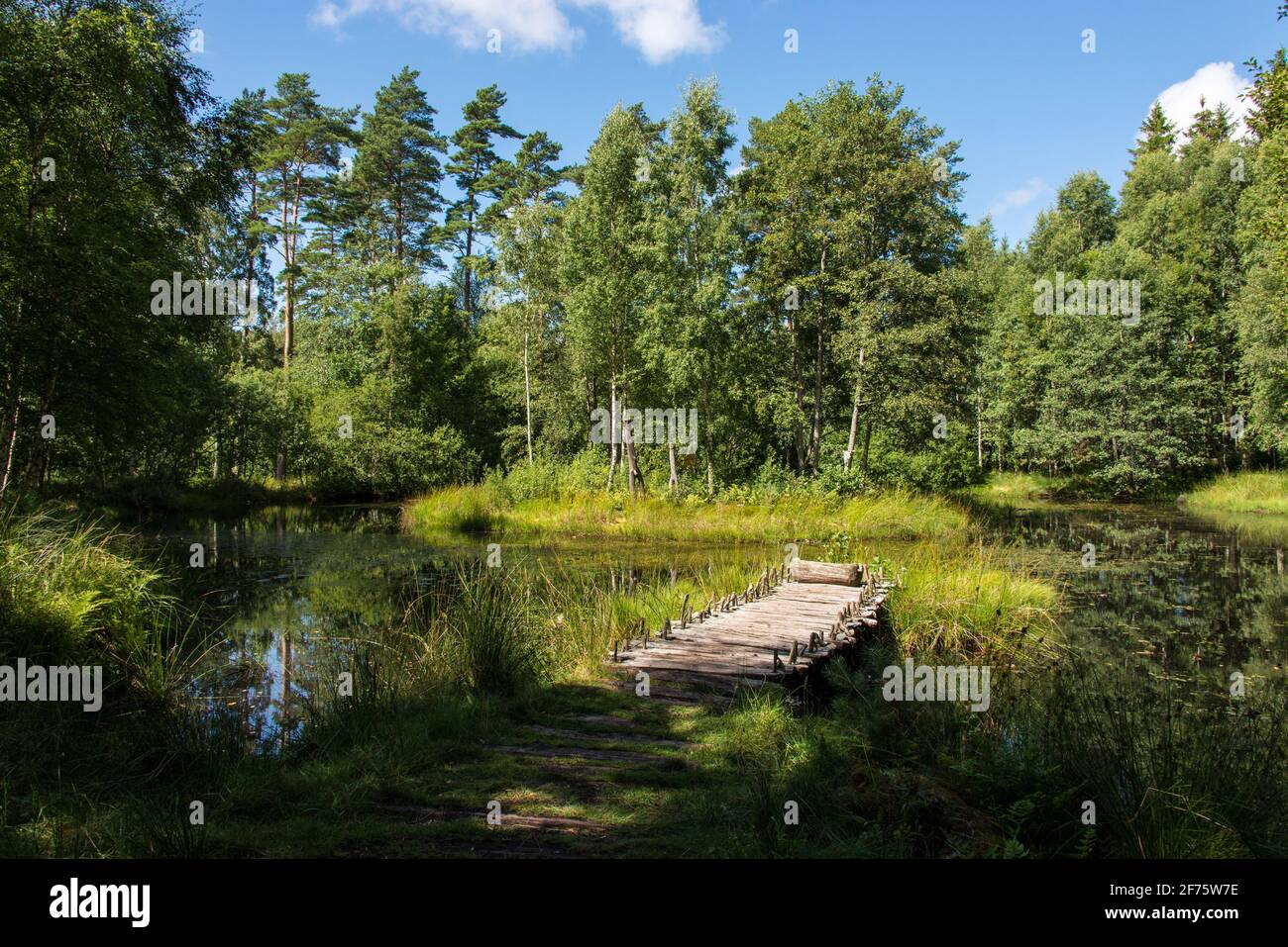 Dreaming of solitude: a lone jetty on a pond in the forest of Tanum Stock Photo