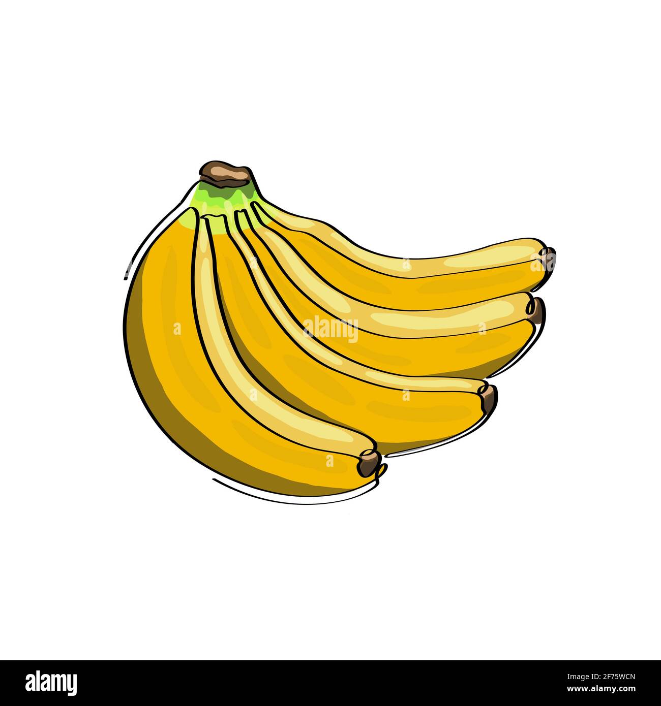 A bunch of bananas are handdrawn in one line. Isolated stock vector