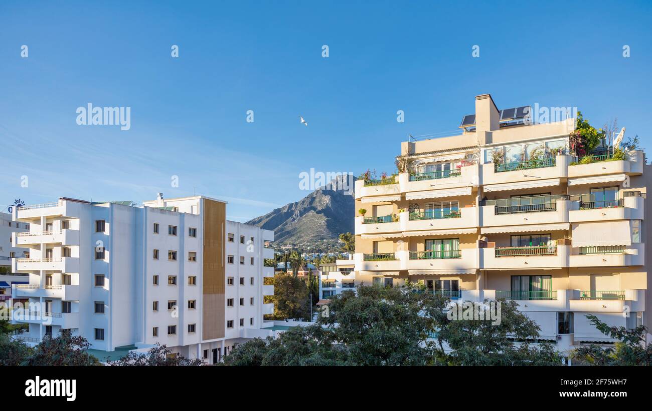 Apartment blocks in Marbella, Costa del Sol, Malaga Province, Andalusia, southern Spain.  La Concha mountain behind. Stock Photo