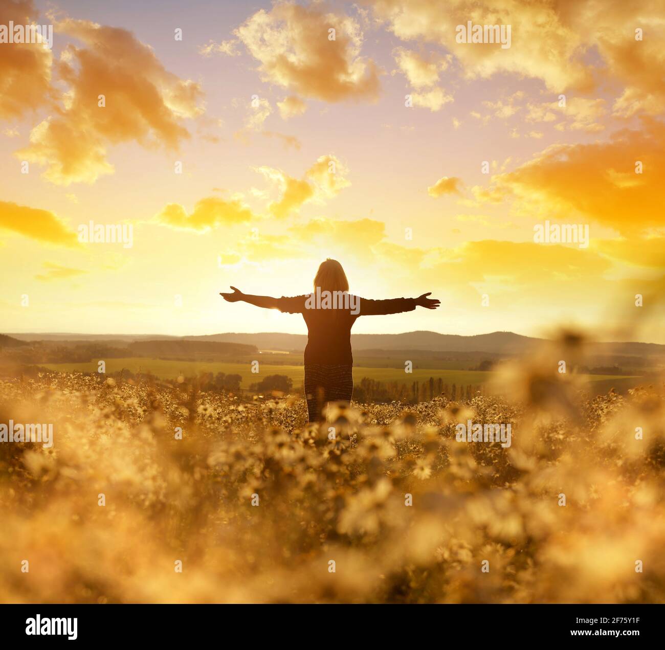 Woman in field sunset hi-res stock photography and images - Alamy