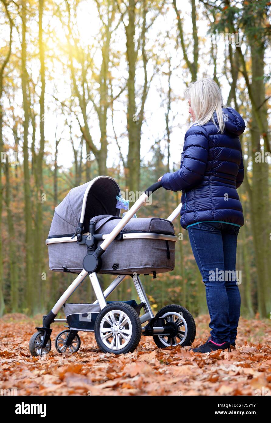 Park baby stroller hi-res stock photography and images - Alamy