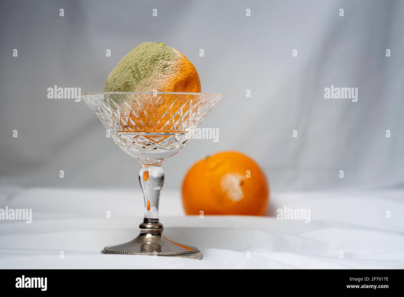 Rotting orange citrus fruit with green mold growing on the skin in a cut glass stem bowl Stock Photo