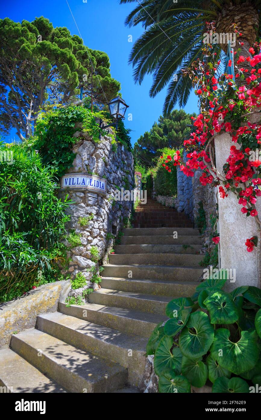 Villas Architecture In Capri Island Reflex Stock Photo - Download Image Now  - Capri, Luxury, Downtown District - iStock