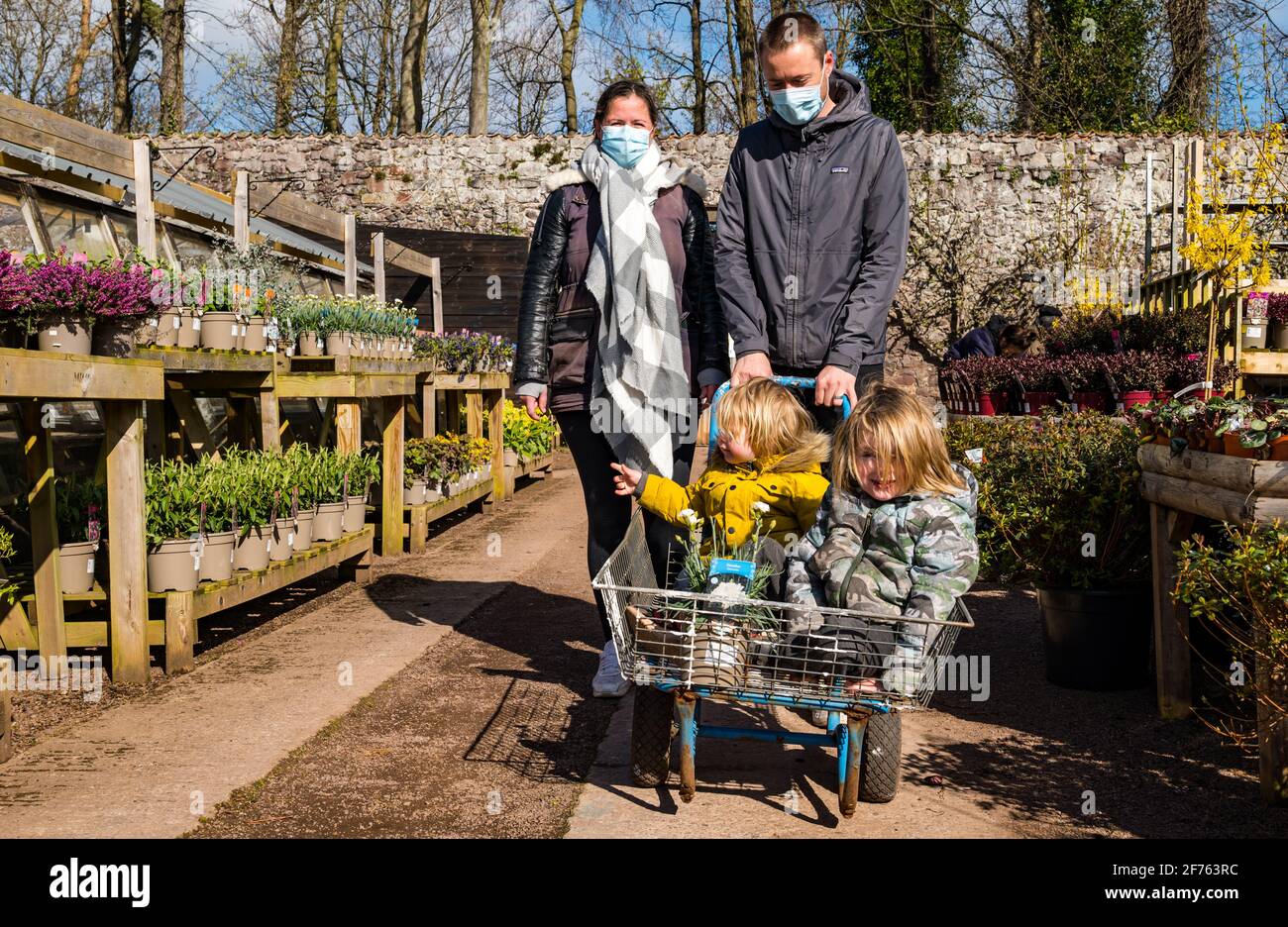 A family with children visiting Smeaton nursery garden centre, East Linton, East Lothian, Scotland, UK Stock Photo