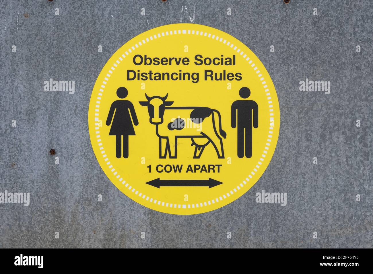 Social distancing sign at a livestock market Stock Photo Alamy