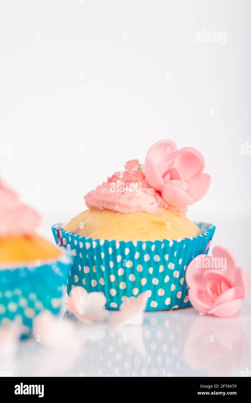 freshly baked muffins are on the table Stock Photo