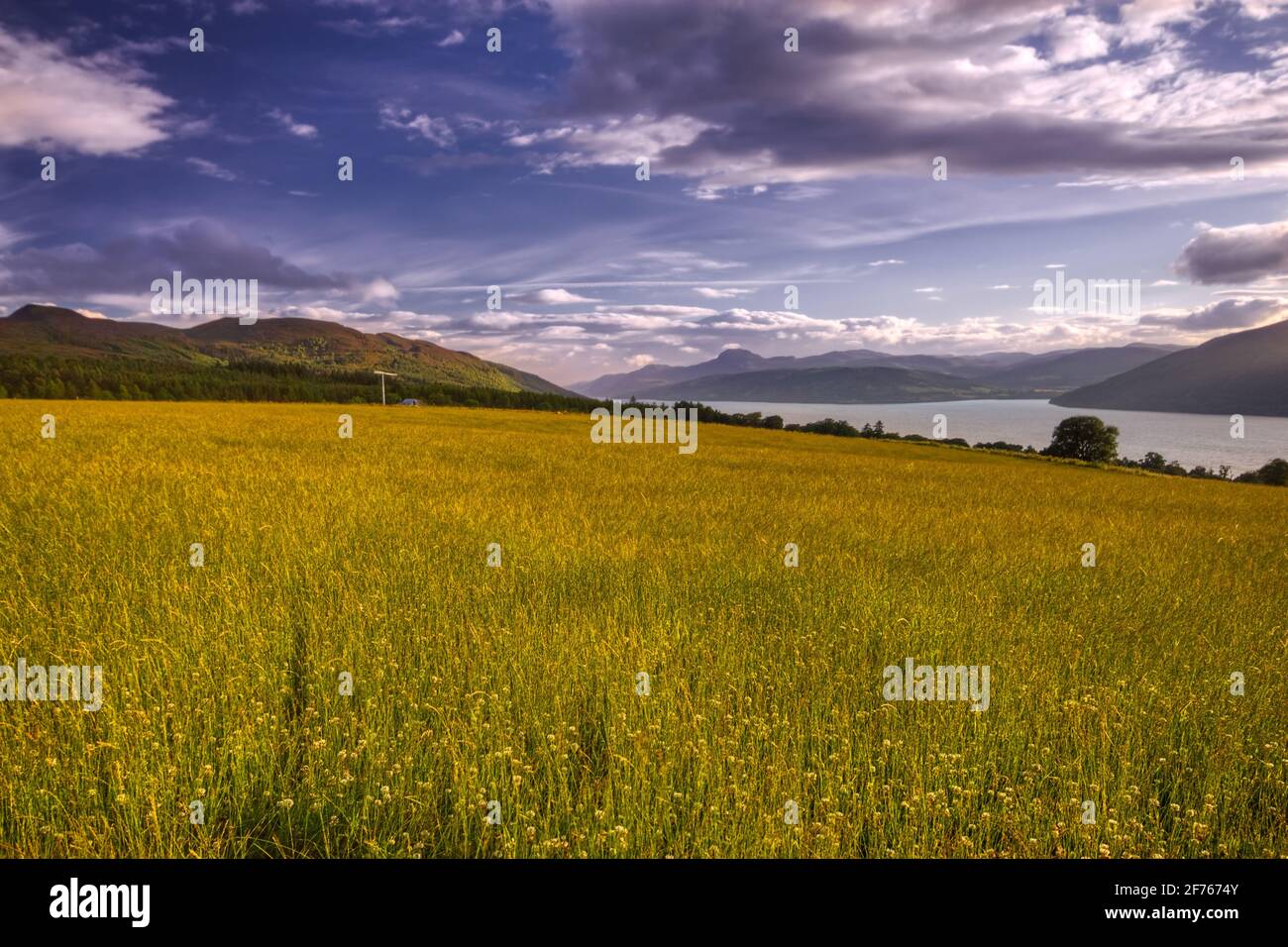 The field of dreams! Stock Photo Alamy