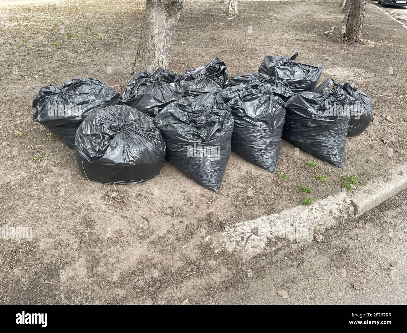 https://c8.alamy.com/comp/2F767RR/collected-in-black-bags-of-fallen-leaves-on-a-city-street-black-plastic-bags-full-of-leaves-seasonal-cleaning-of-city-streets-from-fallen-leaves-2F767RR.jpg