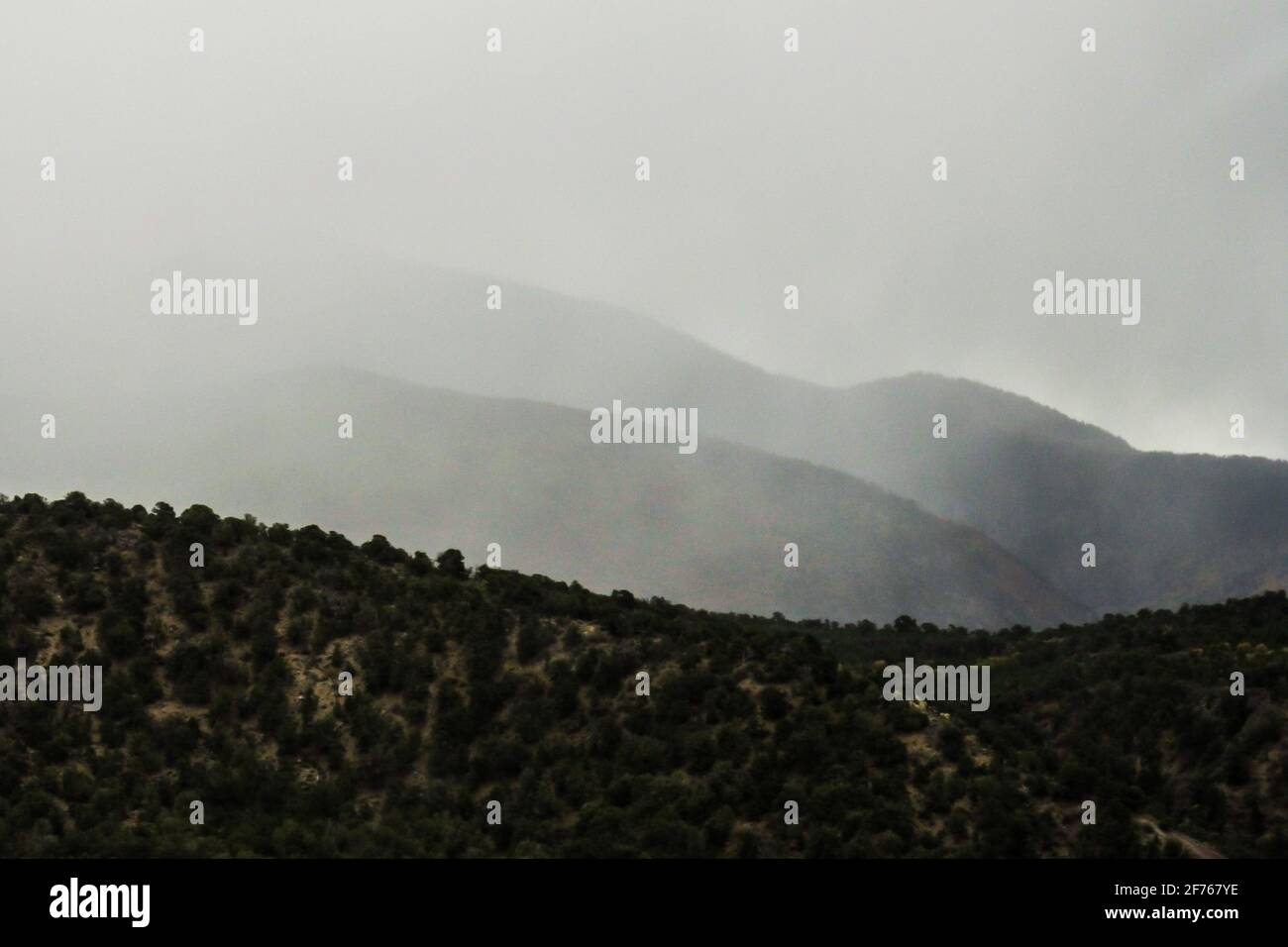 Slopes of the La Sal Mountains, in Utah, USA, shrouded in clouds during a snowstorm Stock Photo