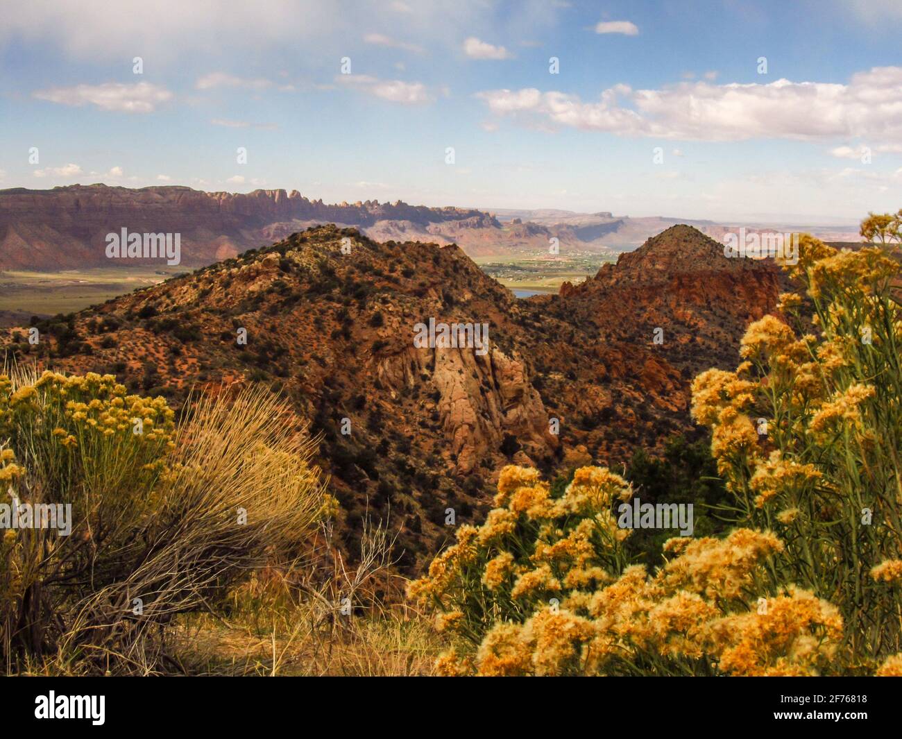 The high ridges, surrounding the town of Moab, in Utah, USA, as seen from the La Sal Mountains, with Rabbit bush in the foreground Stock Photo