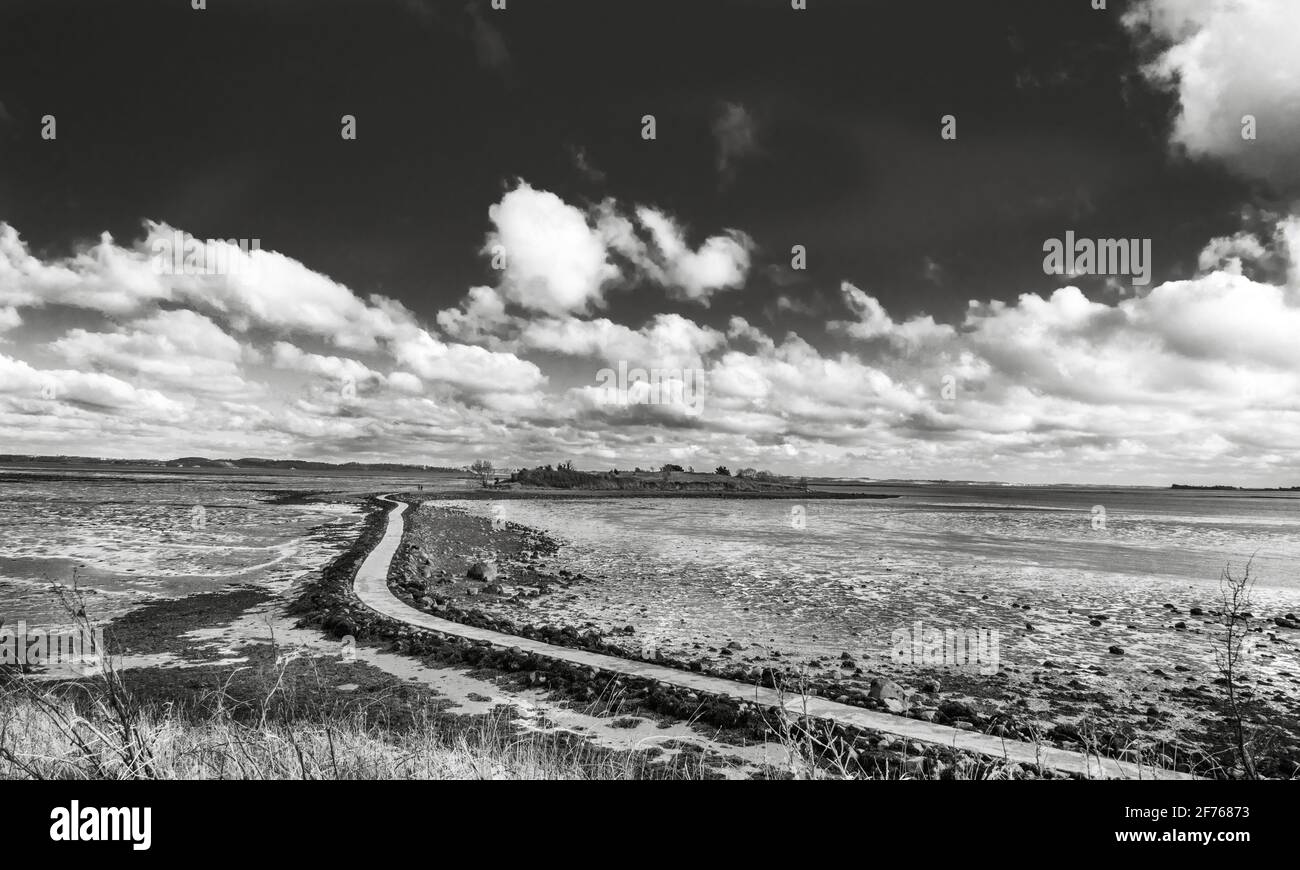The causeway from Island Hill out across the tidal sands to Rough Island on Strangford Lough, County Down, Northern Ireland Stock Photo