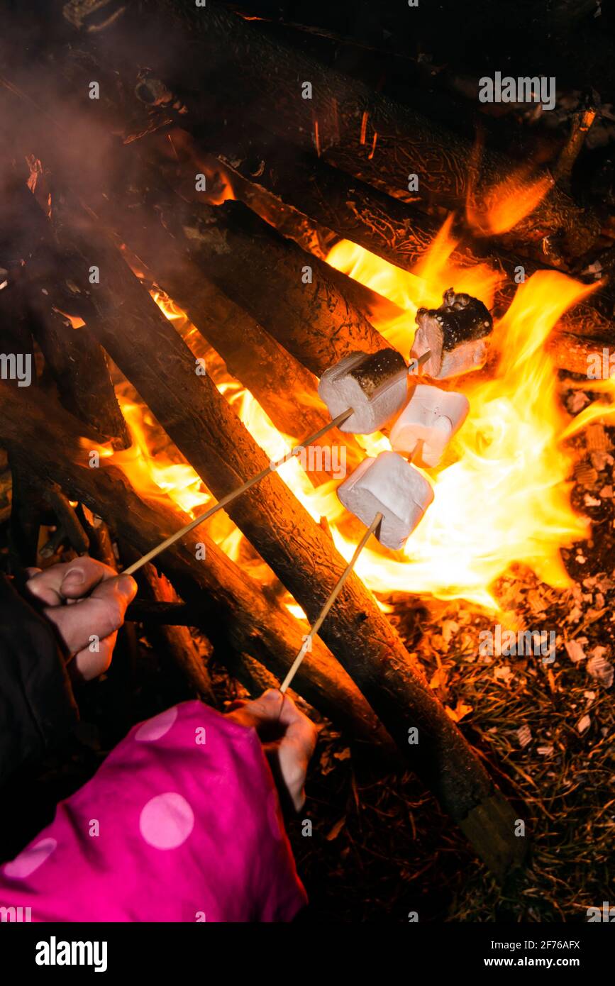 Two hands Roasting marshmallows over the fire. Close up view Stock Photo