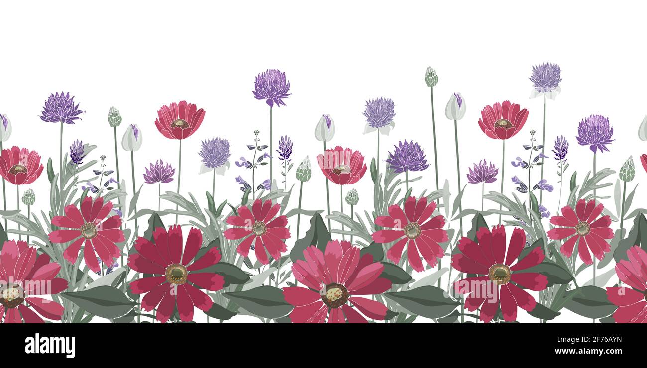 Vector floral seamless border. Summer red and purple flowers isolated