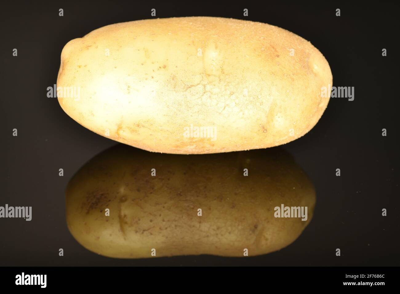 One fresh, not peeled, uncooked, organic, juicy potatoes on a black