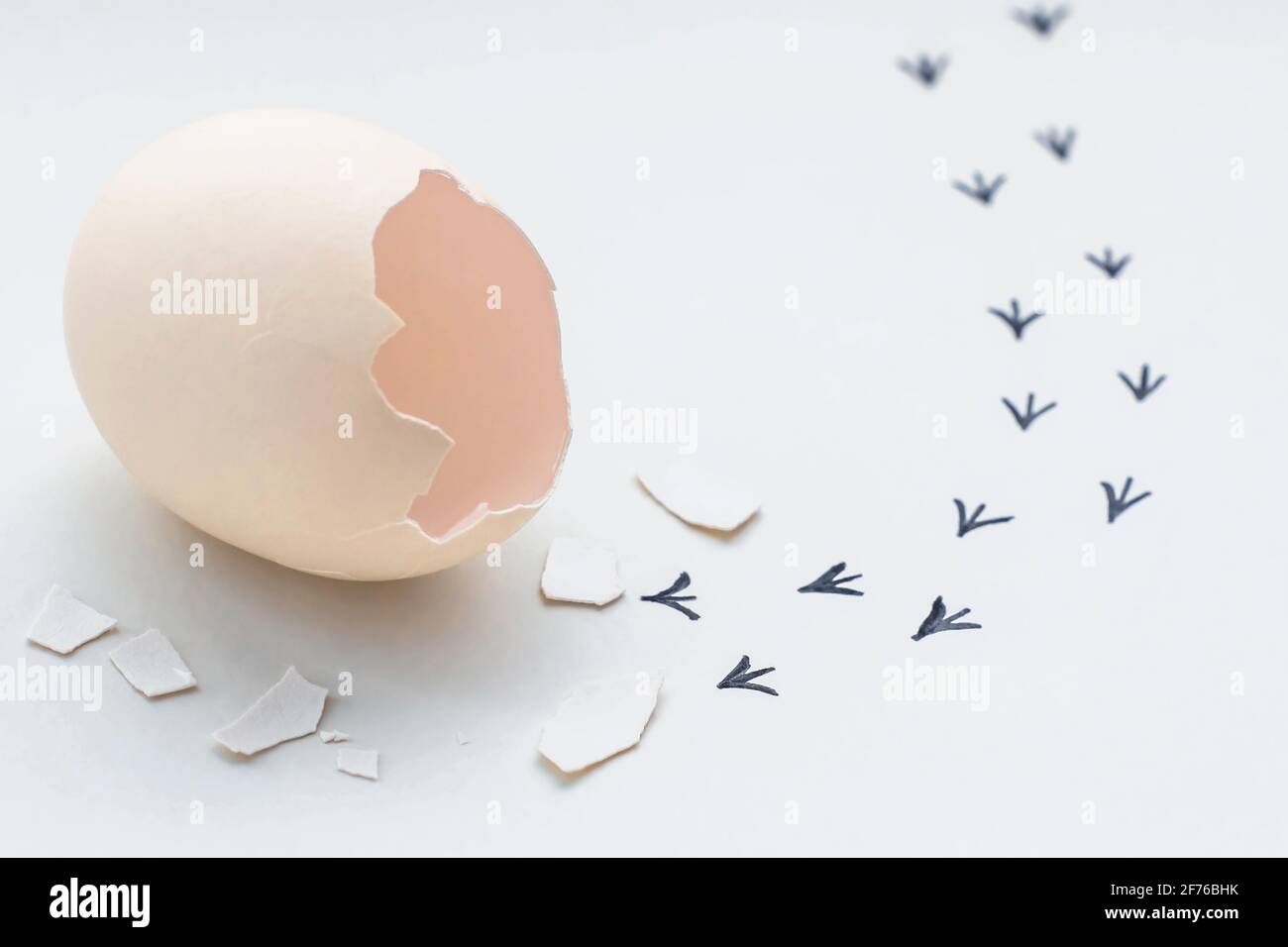 Footprints from an egg shell. First steps of a chick on a white isolated background. Concept of way out of the comfort zone, a new life, progress Stock Photo