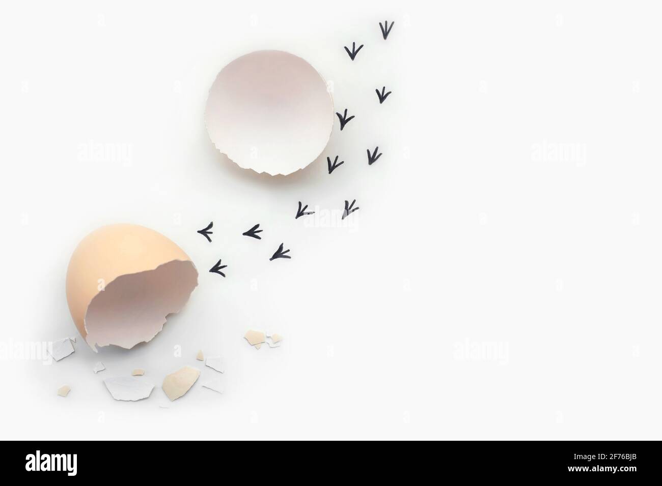 Footprints from an egg shell. First steps of a chick on a white isolated background. Concept of way out of the comfort zone, a new life, progress Stock Photo