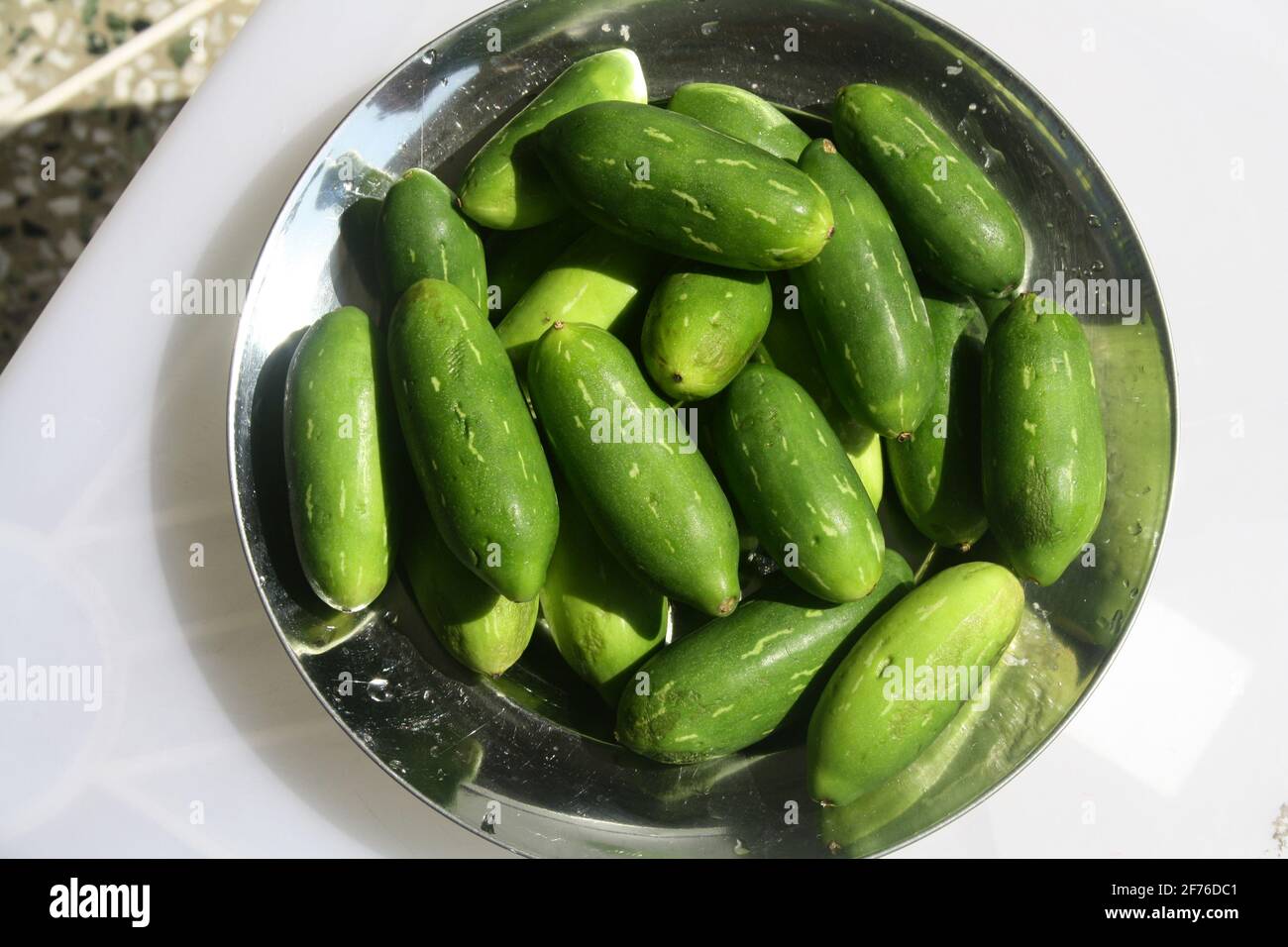 Edible Ivy gourd or Kundru (Coccinia grandis) in a bowl Stock Photo