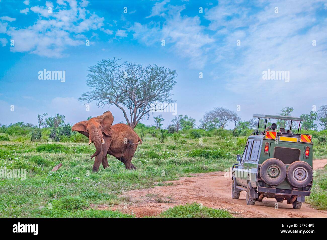 People on safari watch an elephant from off-road car in Tsavo East, Kenya. It is a wildlife photo from Africa. Stock Photo