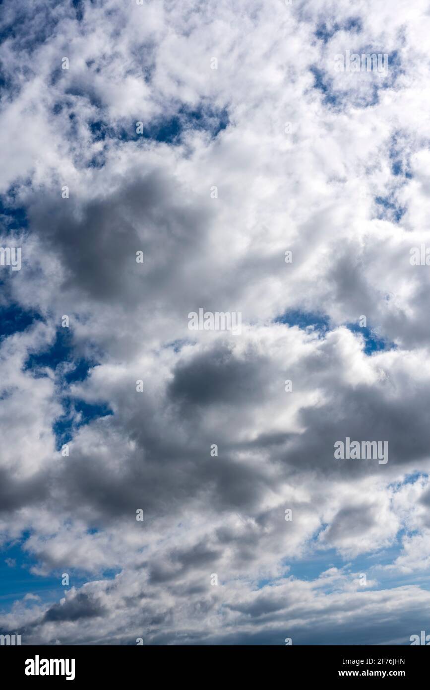 Sky cirrus clouds background textures hi-res stock photography and images -  Alamy, image size:867x1390