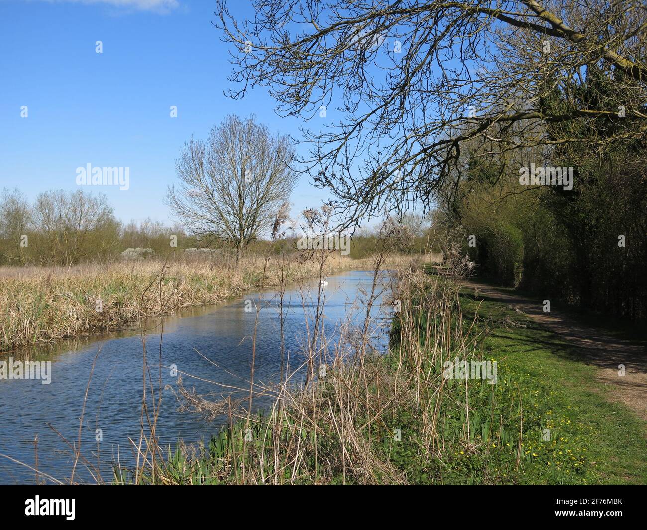 The English countryside on a sunny day in early April and the calming scene of the Northampton Arm of the Grand Union Canal. Stock Photo