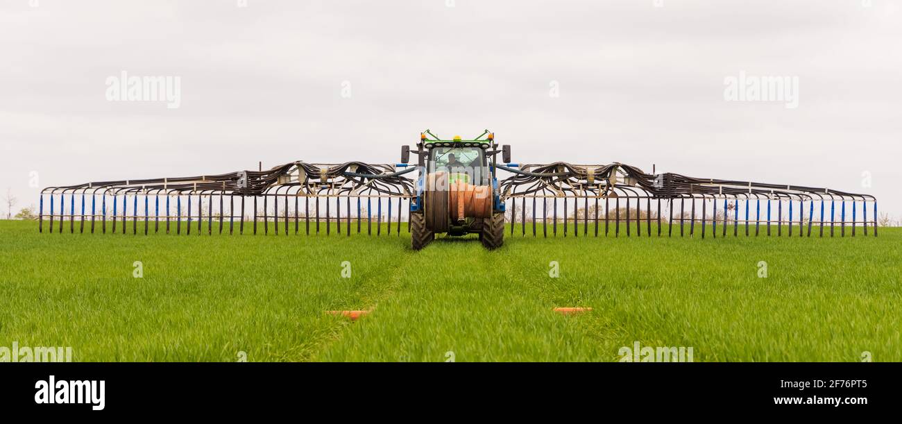 Tractor with a Tramspread slurry spreader Dribble Bar and mounted hose reeler, applying slurry to young crops in a field. Hertfordshire, UK Stock Photo
