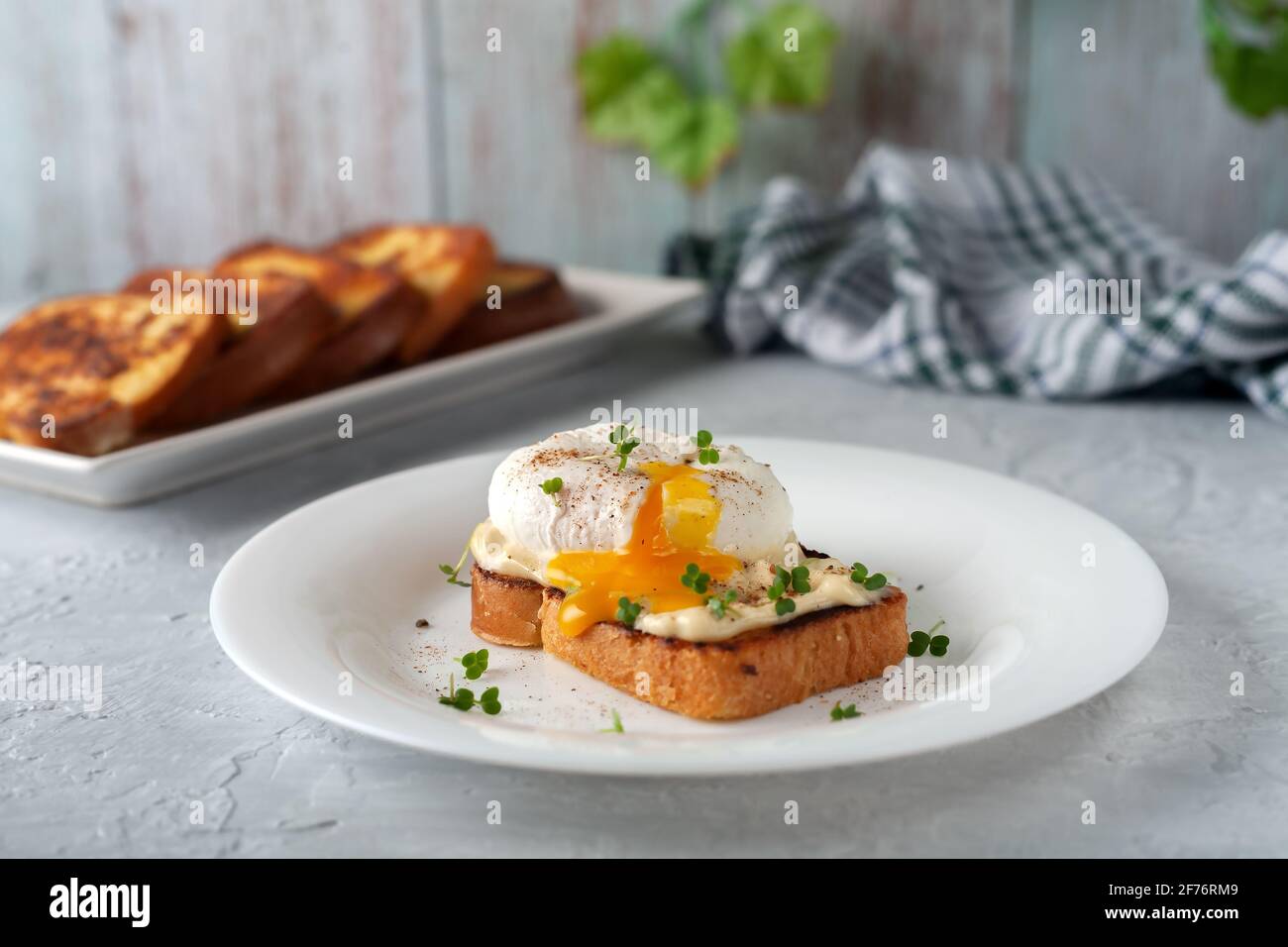Poached egg with mayonnaise and micro-greens. Delicious breakfast. Healthy food Stock Photo