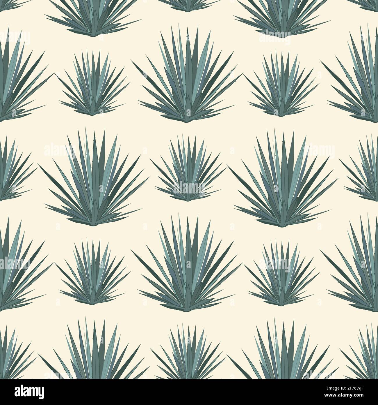 Agave HD Wallpapers and Backgrounds