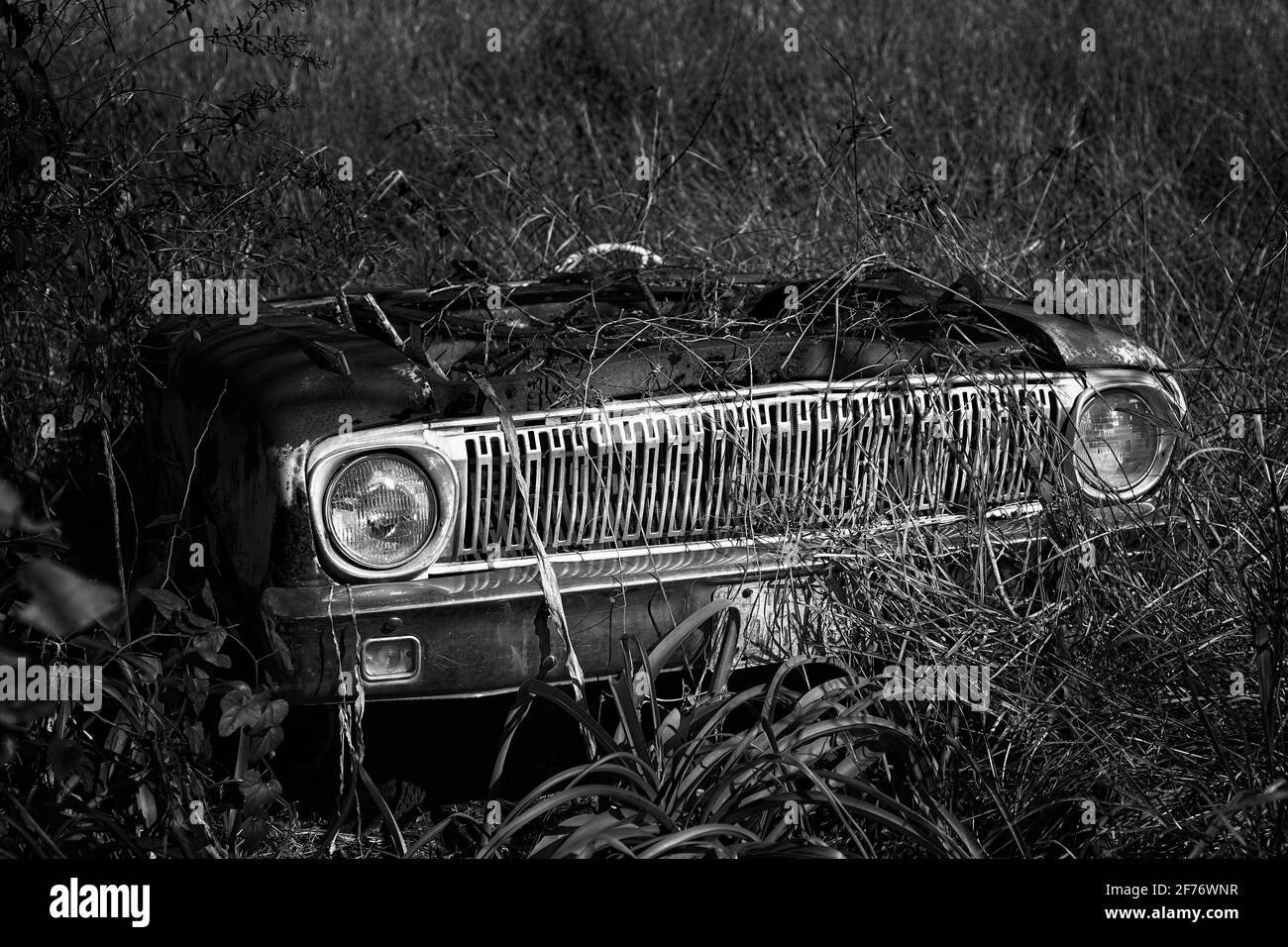 Black and white photograph of an antique car grill sitting in a field and being overgrown by vegetation Stock Photo