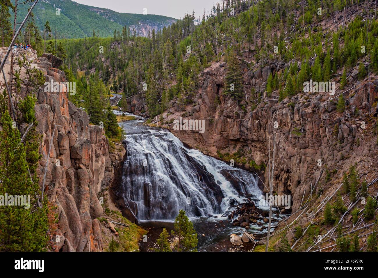 Gibbon Falls in Yellowstone National Park in Wyoming in the USA . High quality photo Stock Photo