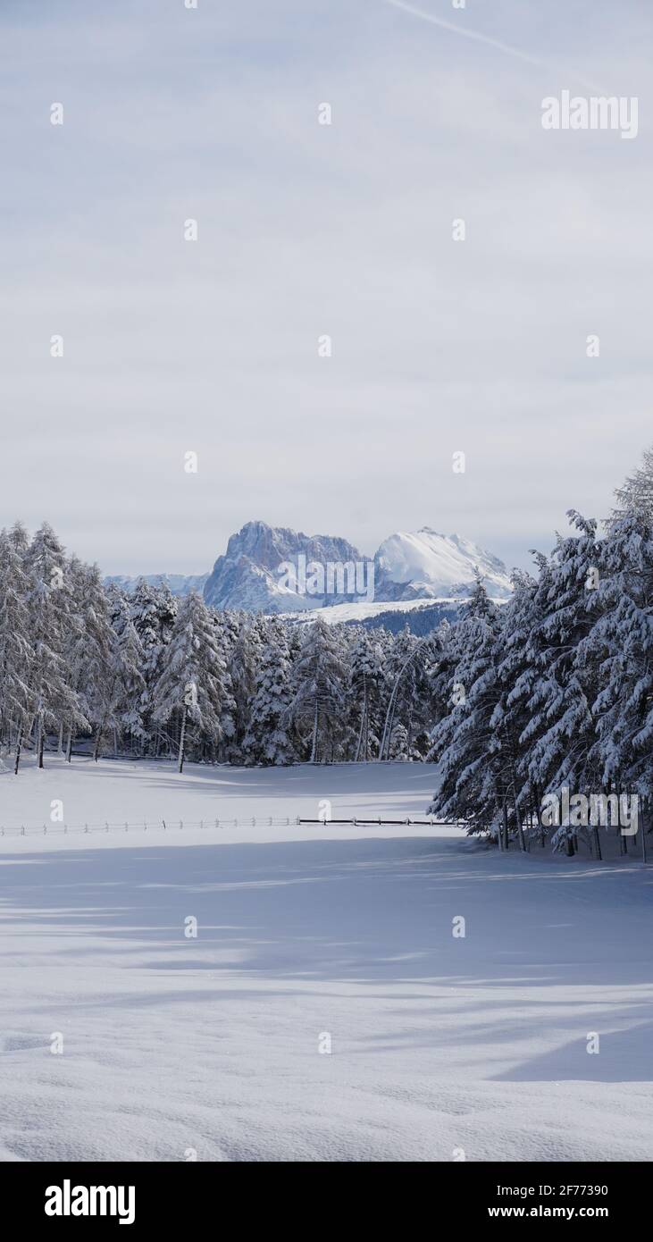 White mountains winter hi-res stock photography and images - Alamy