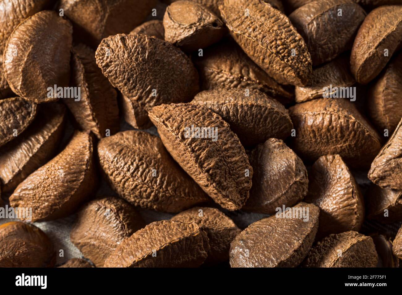 Raw Brown Organic Brazil Nuts Stock Photo - Image of tasty, fresh