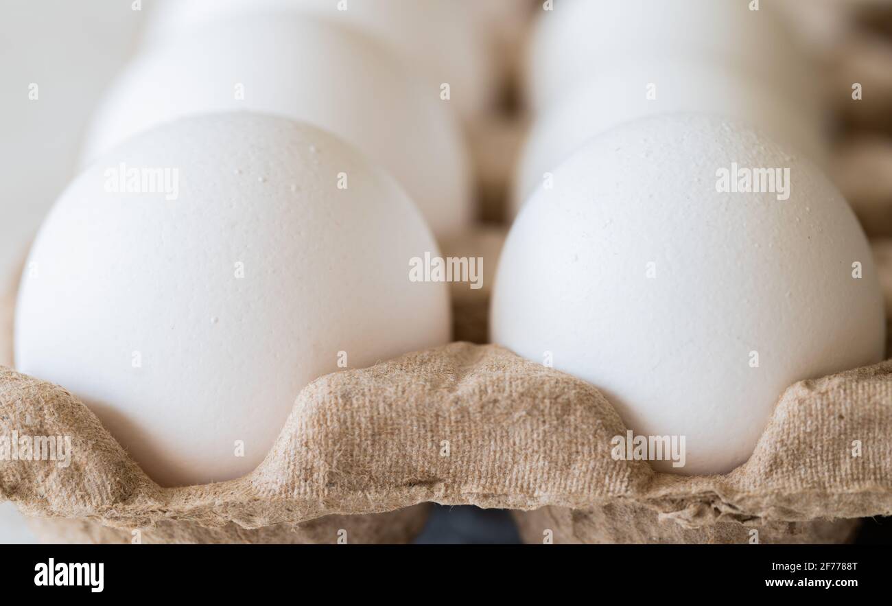 Side View of White Eggs in Carton Stock Photo