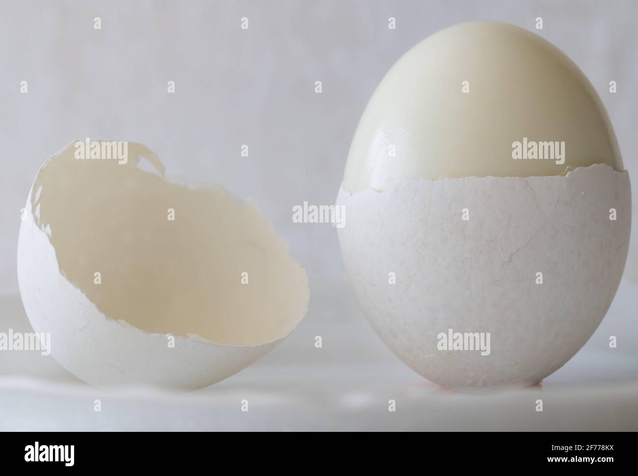 Hardboiled Egg with Shell on White Background Stock Photo