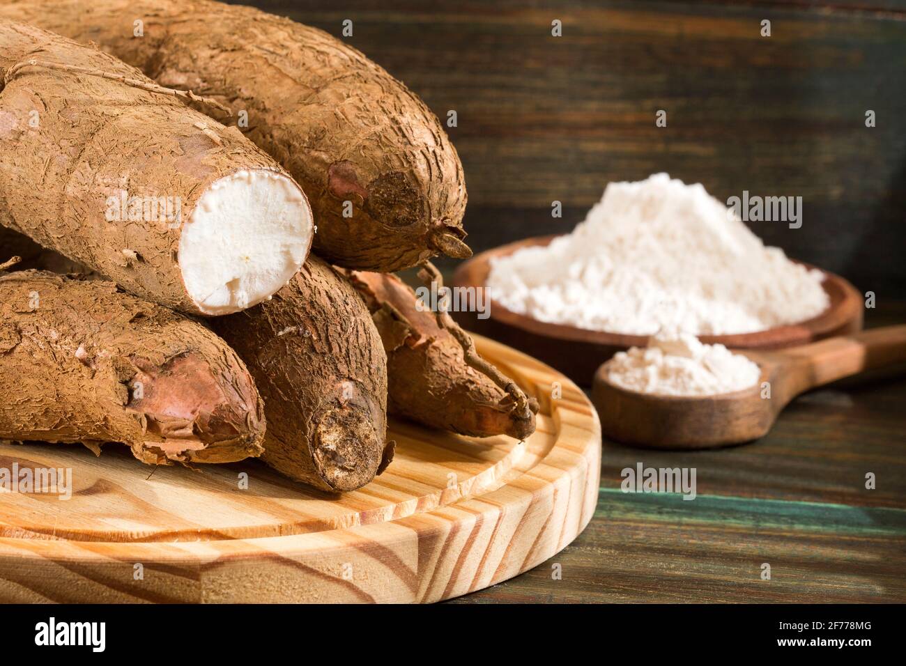 Cassava raw tuber - Manihot esculenta Stock Photo