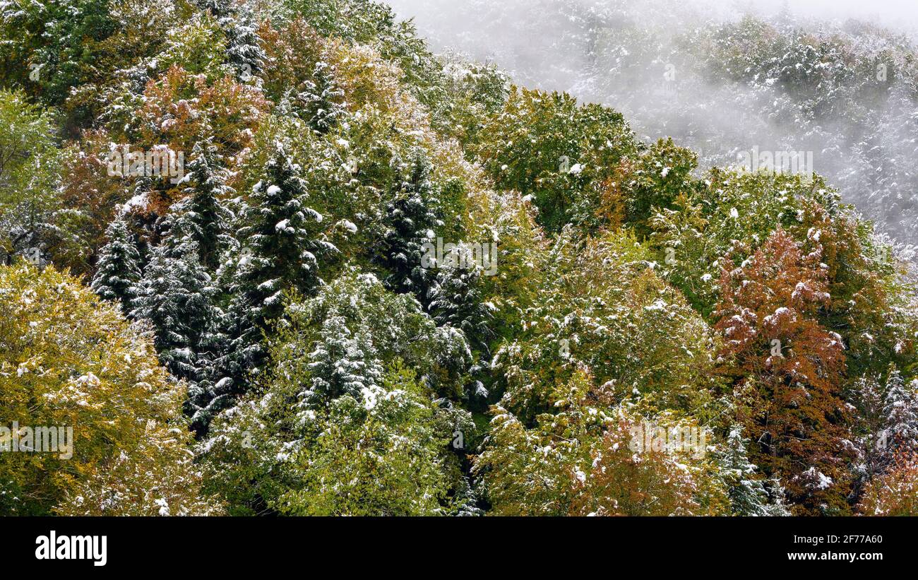 Paisaje de colores de otoño hi-res stock photography and images - Alamy