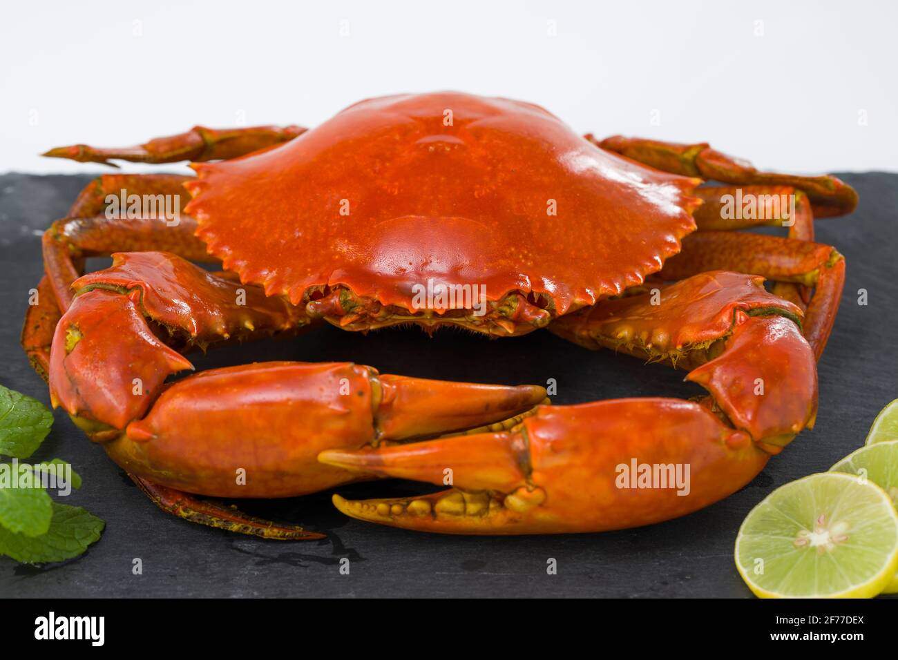 Cooked mud crab, which is red in colour arranged on a slate and